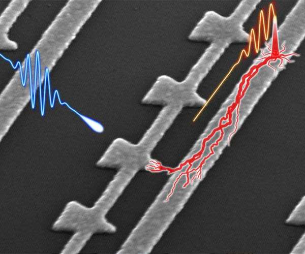 Nanostructured device stops light in its tracks