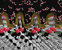 Consumers Must Be Convinced Nanotechnology Benefits Outweigh Risks
