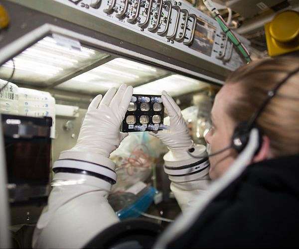 Robotics microbiology and agriculture dominate ISS research this month