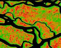 NASA mapping hurricane damage across Everglades