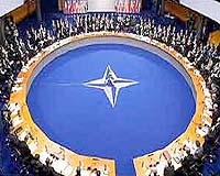 Analysis: NATO's limits in foreign affairs