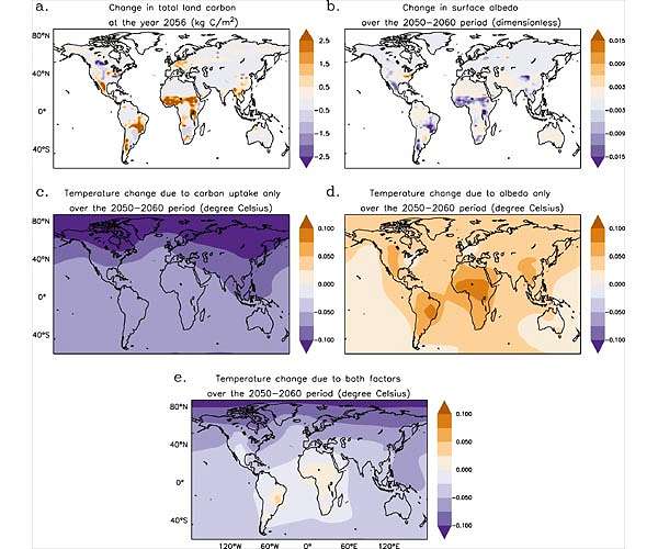 Nature-based carbon removal can help protect us from a warming planet