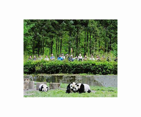 Chinese tourists out in force as virus fears recede