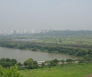 Mangroves Among The Most Carbon-Rich Forests In The Tropics