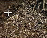 An ancient strain of plague may have led to the decline of Neolithic Europeans
