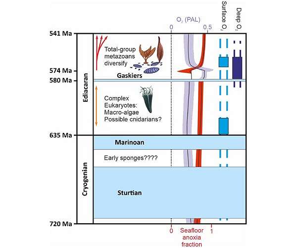 Learning about the first animals on Earth from life at the poles
