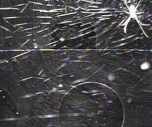 Spiders in Space - The Sequel