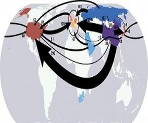 Carbon Emissions Outsourced To Developing Countries