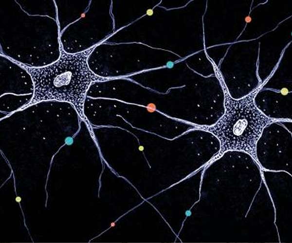 Machine learning helps scientists pinpoint 'genes of importance'