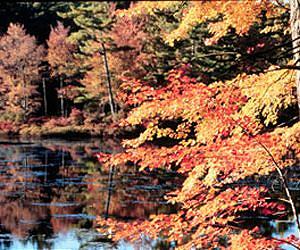 Climate modelers see possible warmer, wetter Northeast winters by 2070
