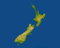 Police site crashes as Kiwis turn into shutdown snitches