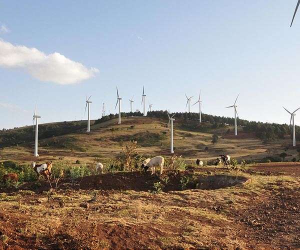 India to build Sri Lanka wind farms after China pushed aside