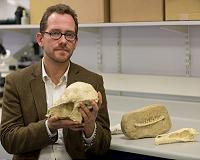 Mammals almost wiped out with the dinosaurs