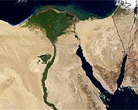 Nile Delta Fishery Grows Dramatically