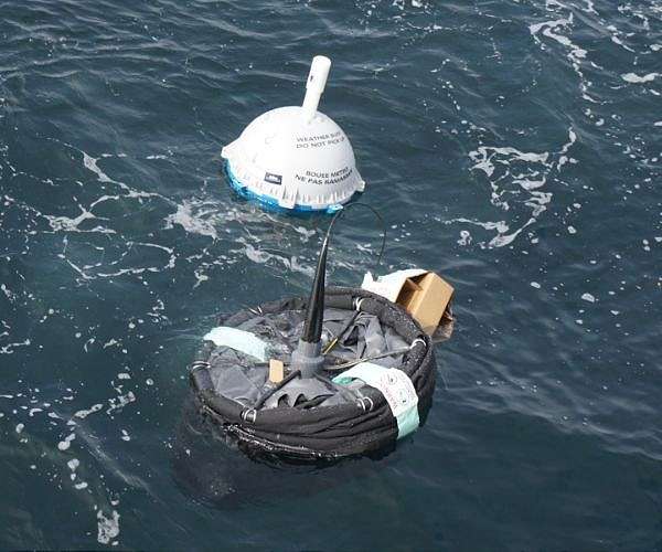 Light, freshwater sticks to Greenland's east coast