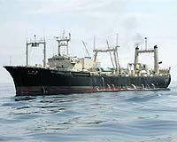 Japan intends to resume whale hunt this year
