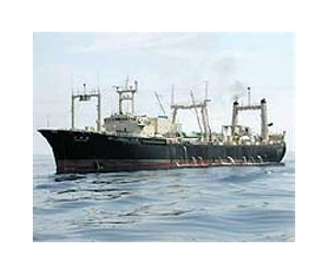 Three injured as Japan whalers use hooks: activists
