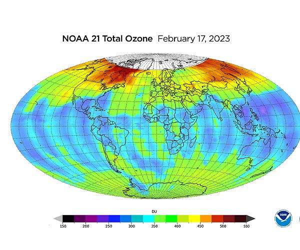 Complex Impact of Wildfires on Ozone Layer Dynamics