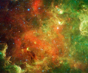 New View Of Family Life In The North American Nebula