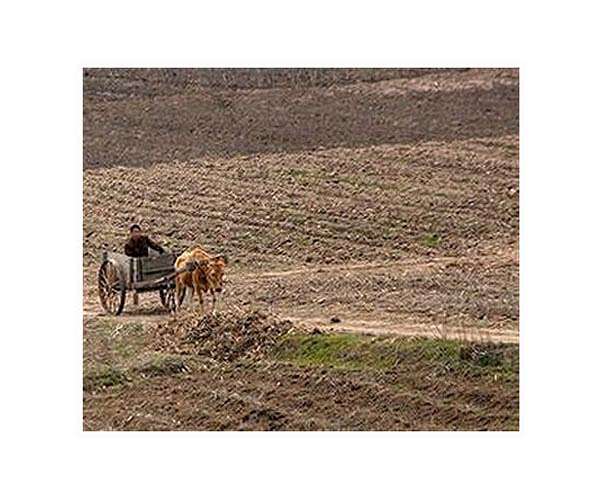 North Korea ruling party to hold key meeting on agriculture
