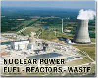 Why nuclear could become the next 'fossil' fuel