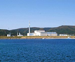 Second Japan atomic plant at fault risk: experts