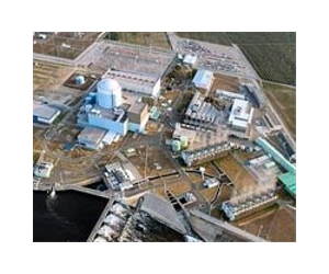 Slovenian nuclear plant resumes production after 42 days