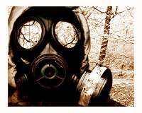 Italian-Czech imbroglio over donated Chinese virus masks