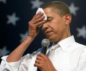 Obama lays out national plan to fight climate change