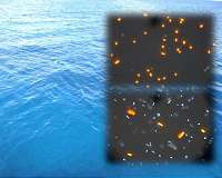 Biofuels could be made from bacteria that grow in seawater rather than from crude oil