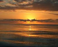 Protecting the ocean could boost economy by $900 bn, says WWF