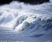 Catastrophic sea levels 'distinct possibility' this century: study
