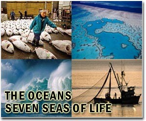 Australia pushes for ocean 'fertilisation' ban