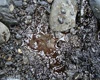Exxon done with 2011 oil spill cleanup