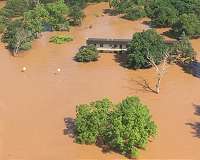 When natural disaster strikes, can insects and other invertebrates recover?