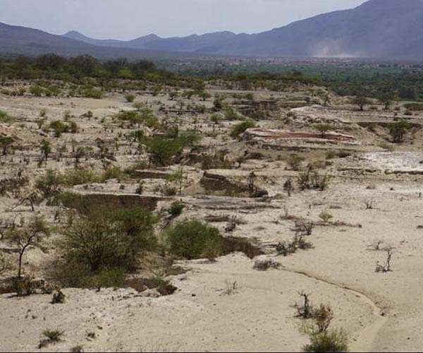 Genetic rewiring behind spectacular evolutionary explosion in East Africa
