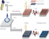 Fabricating Nanostructures with Silk Could Make Clean Rooms Green Rooms