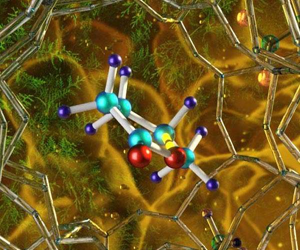 Catalyzing the conversion of biomass to biofuel