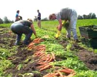 Biologist Discusses Sacred Nature Of Sustainability