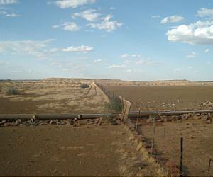Namibia declares state of emergency as drought bites
