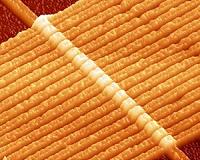 Memristor chips that see patterns over pixels