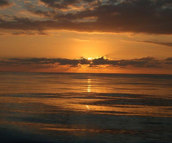 Researchers develop new membrane for uranium extraction from seawater