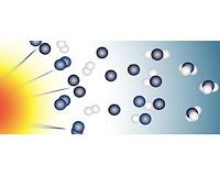 Nitrogen fingerprint in biomolecules could be from early sun