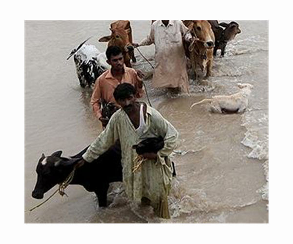 'Burning with pain': Pakistan floods threaten major health crisis