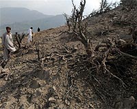 Pakistan should exploit US missile strikes, say analysts