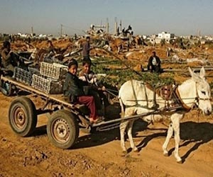 Israel may halt new Palestinian city over 'green concerns'