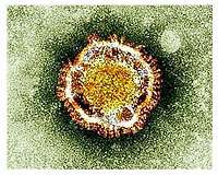 Asia ramps up defence against coronavirus