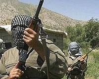 11 Kurdish rebels, 3 Guards killed in Iran