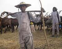 Despite having enough food, humanity risks hunger 'crises': report