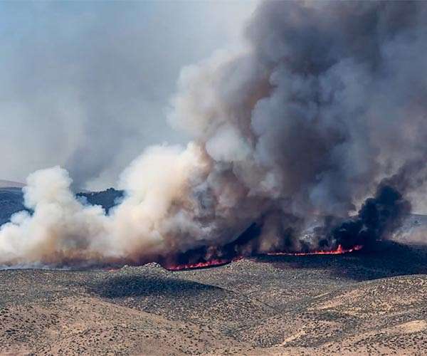 Wildfires spread to 15,000 hectares in Argentine Patagonia